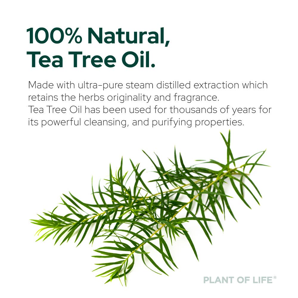 Plant of Life - Tea Tree Oil for Aromatherapy, Skincare and Haircare | Sizes: 2oz