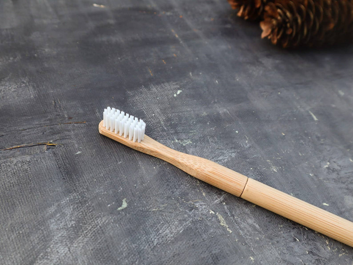 Plantish - Refillable Bamboo Toothbrush (Canada only): 1 Brush