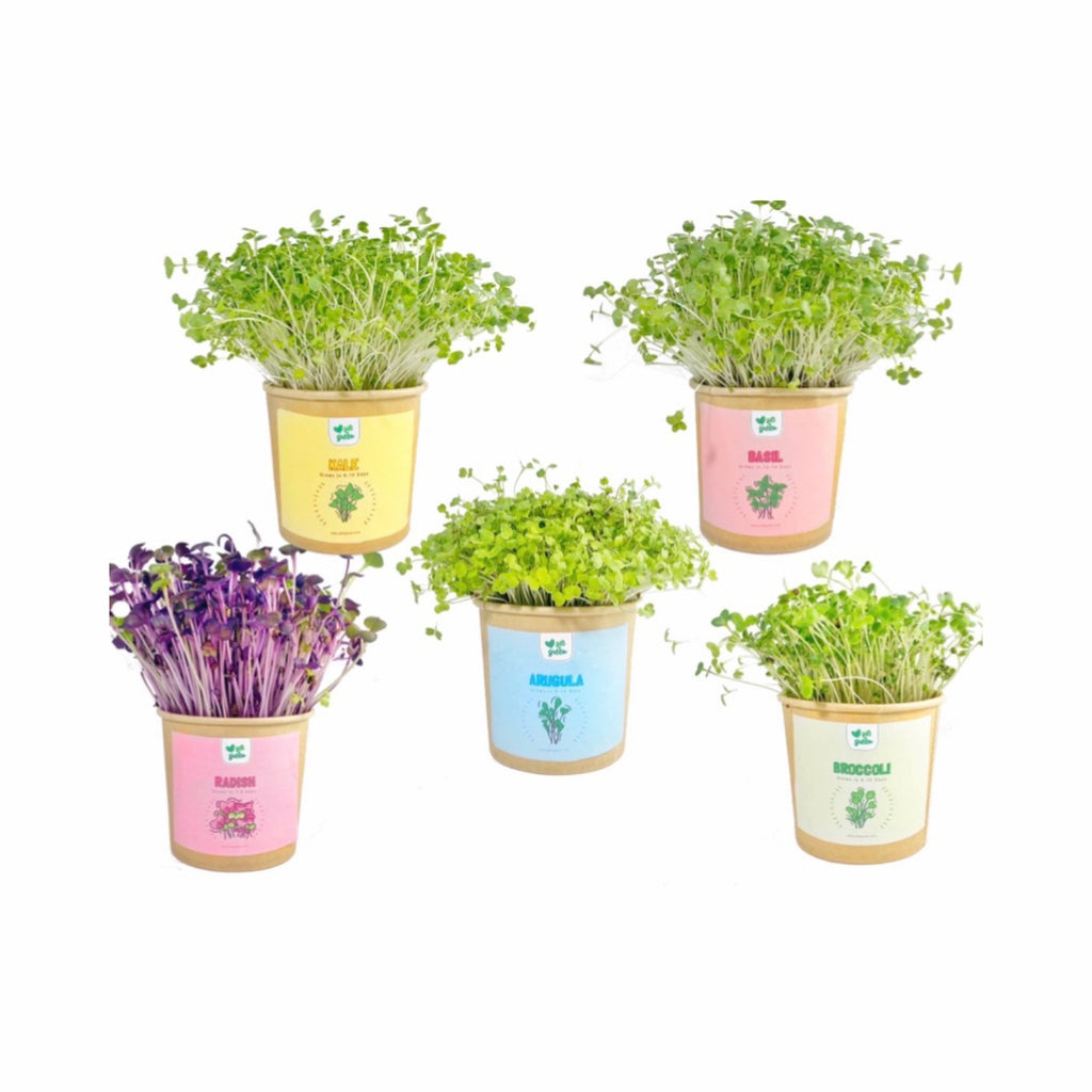 giftagreen - Gift Box - I Love You
