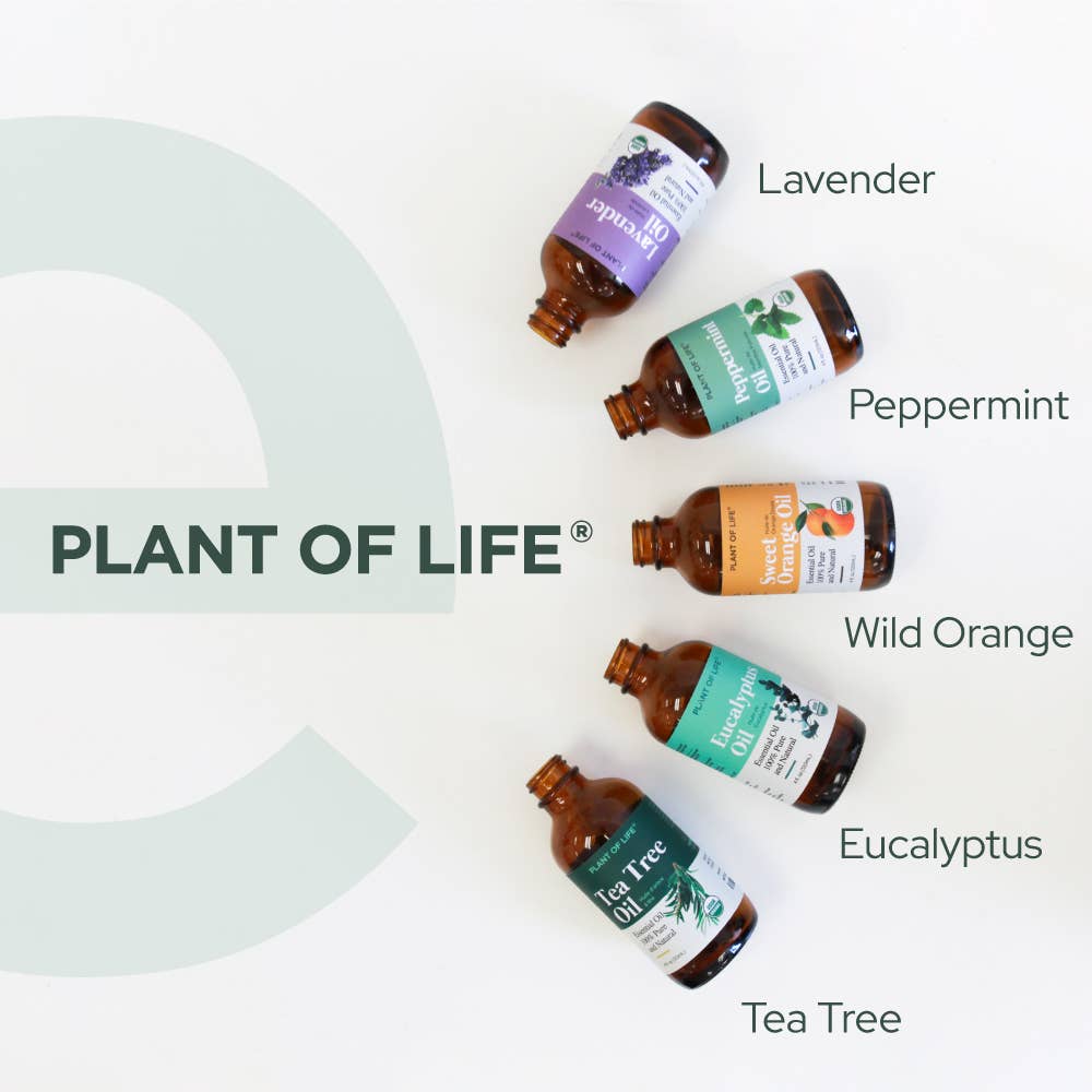 Plant of Life - Tea Tree Oil for Aromatherapy, Skincare and Haircare | Sizes: 2oz