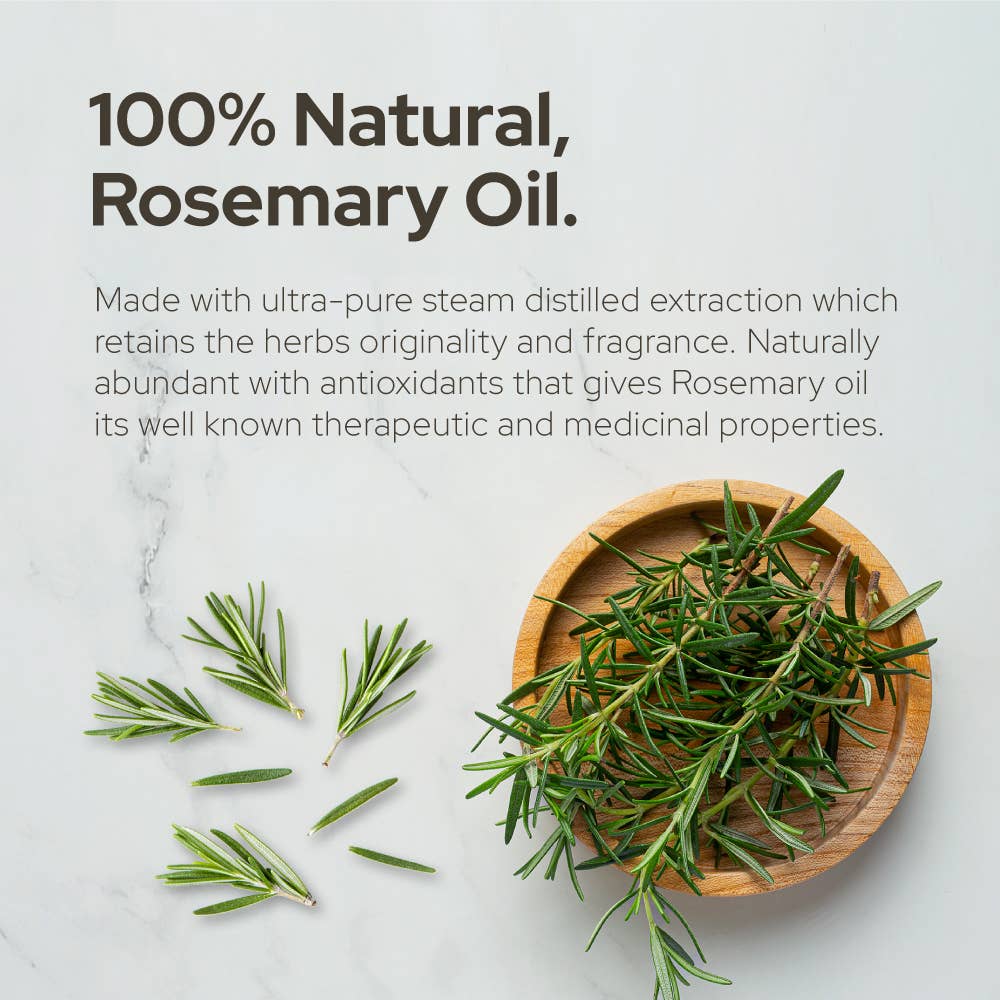 Plant of Life - Rosemary Essential Oil for Aromatherapy Hair, Skin, & Nails: 2oz