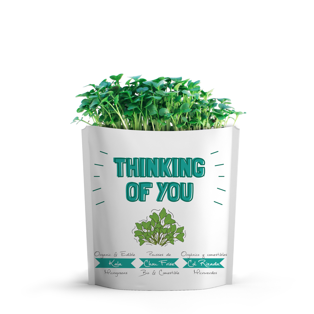 giftagreen - Thinking of You Greeting Card Pouch