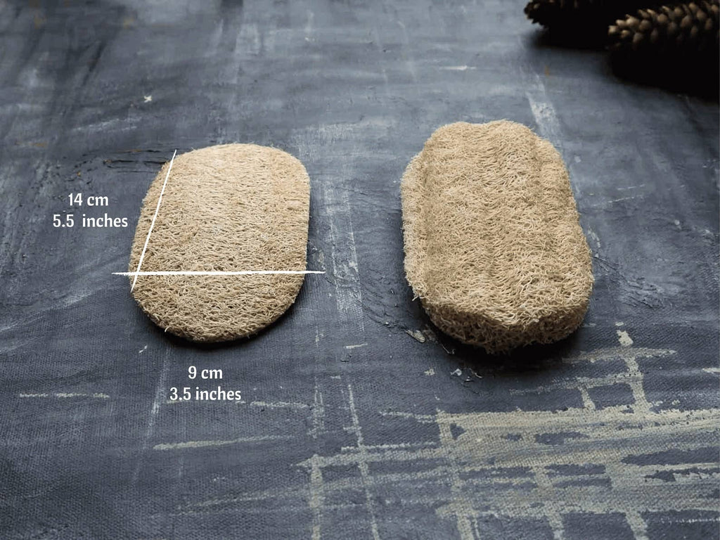 Plantish - Loofah Dishwashing Sponge: Set of 2 Sponges