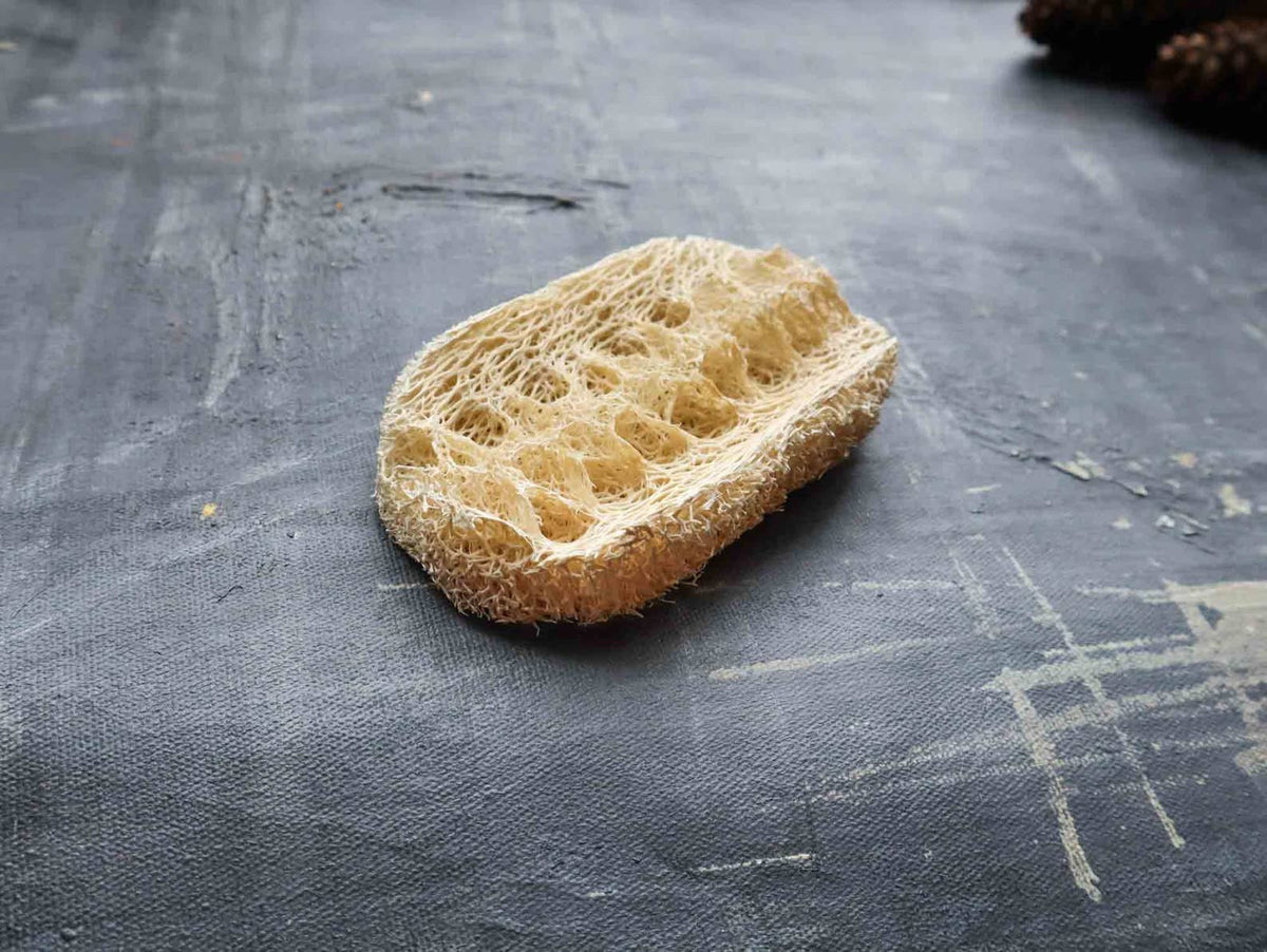 Plantish - Loofah Dishwashing Sponge: 1 Sponge