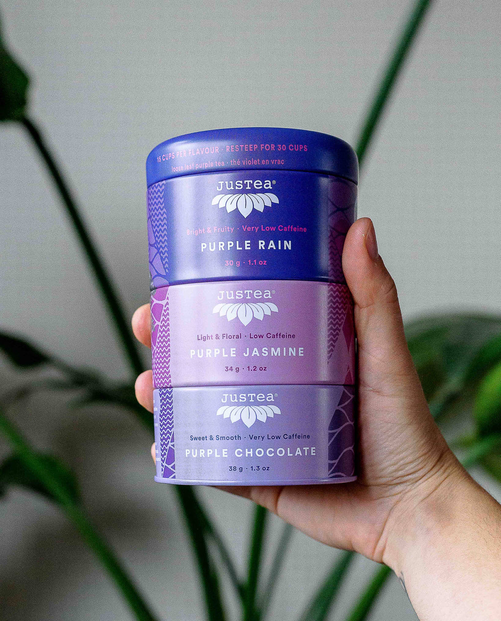 JusTea - Purple Tea Trio Tin & Spoon - Organic, Fair-Trade Tea Gift