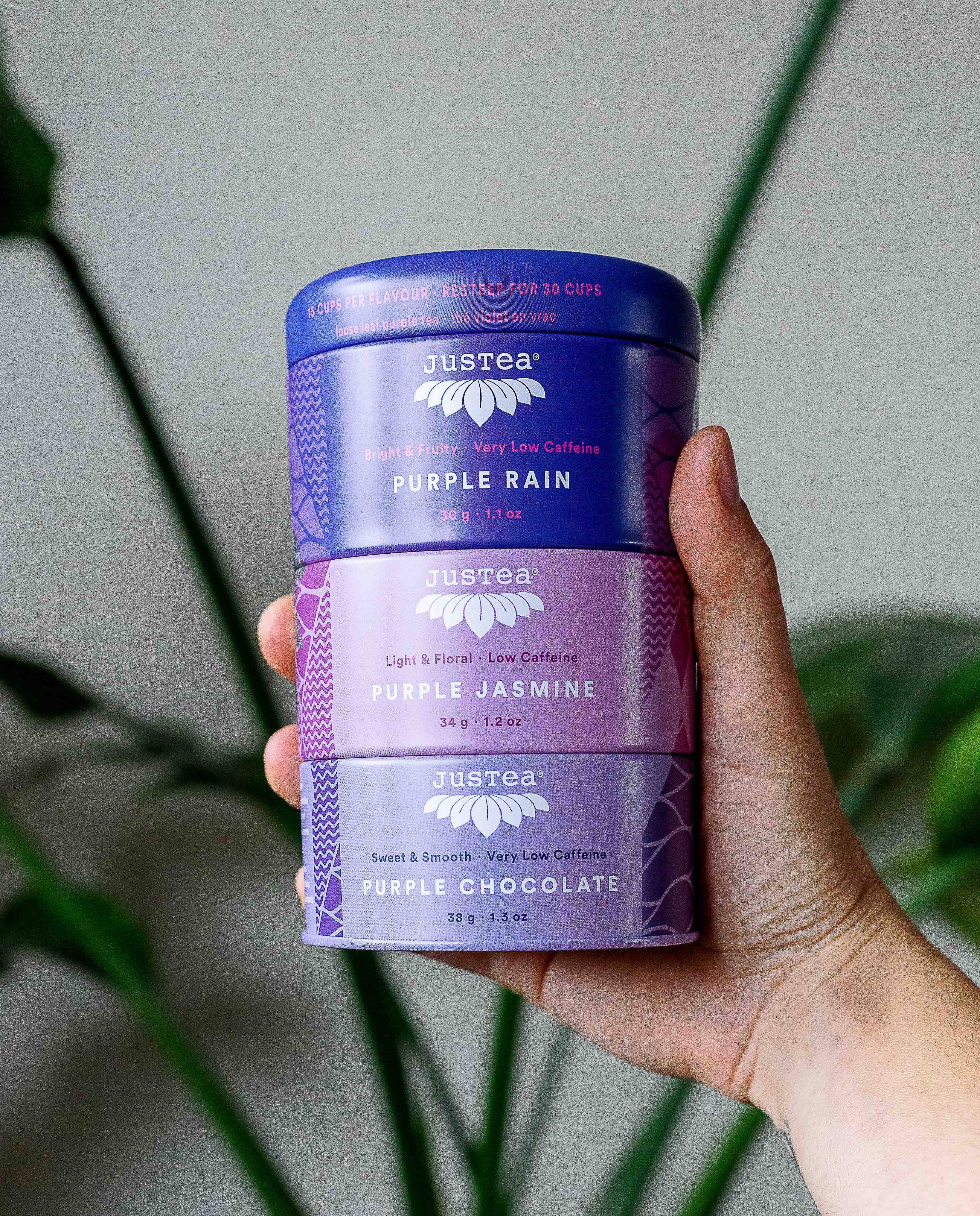 JusTea - Purple Tea Trio Tin & Spoon - Organic, Fair-Trade Tea Gift