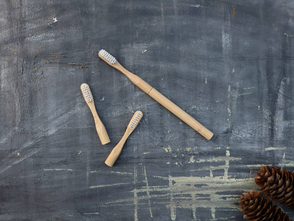 Plantish - Refillable Bamboo Toothbrush (Canada only): 1 Brush