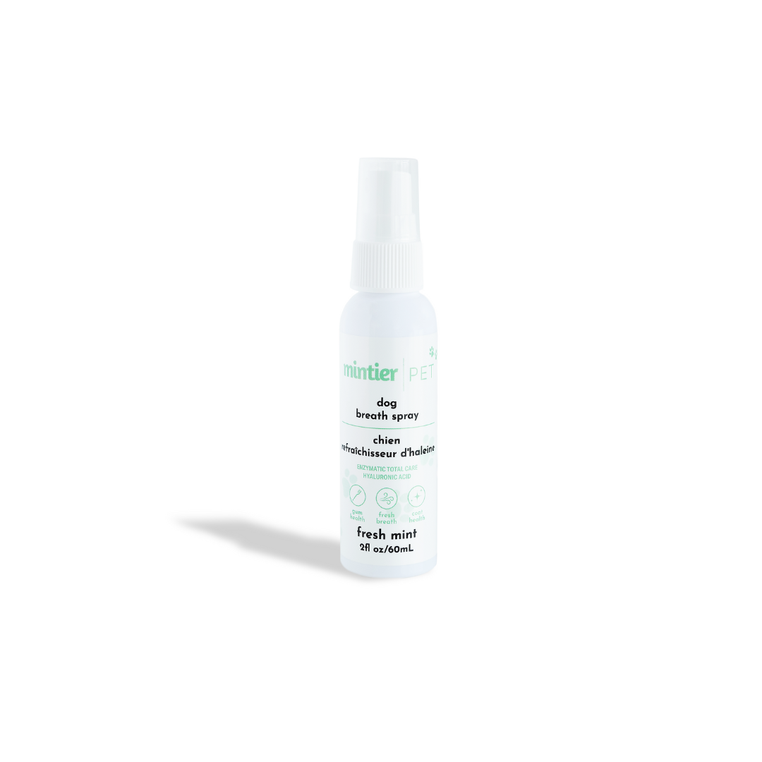 Mintier - Pet Breath Spray