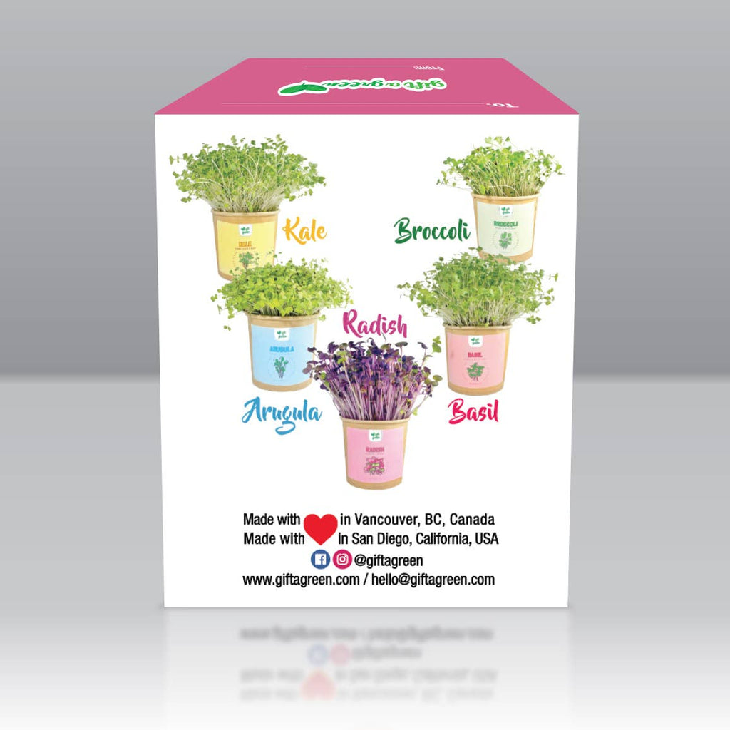 giftagreen - Gift Box - I Love You