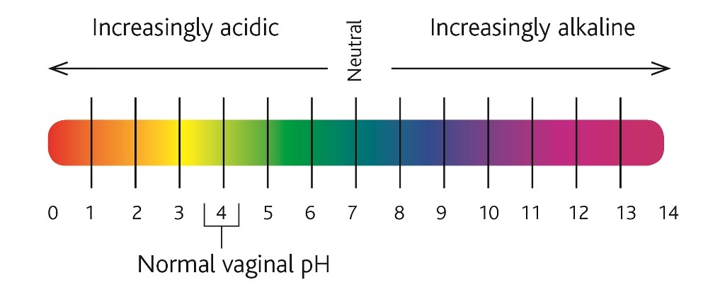 Aeryon Wellness Vaginal Health pH Test Strips for Women