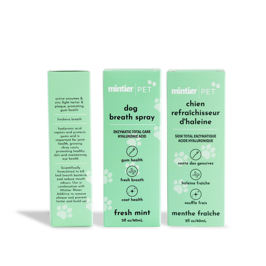 Mintier - Pet Breath Spray