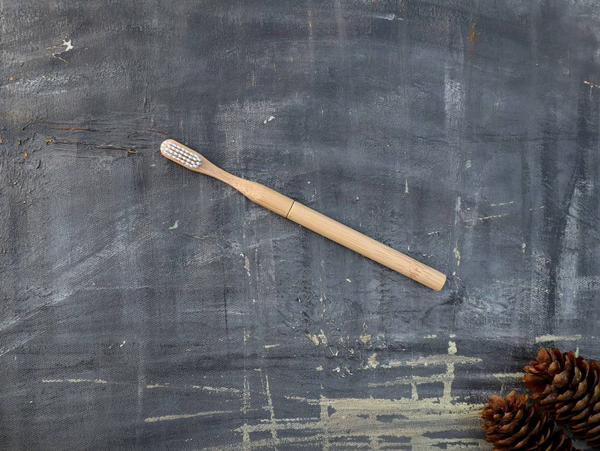 Plantish - Refillable Bamboo Toothbrush (Canada only): 1 Brush