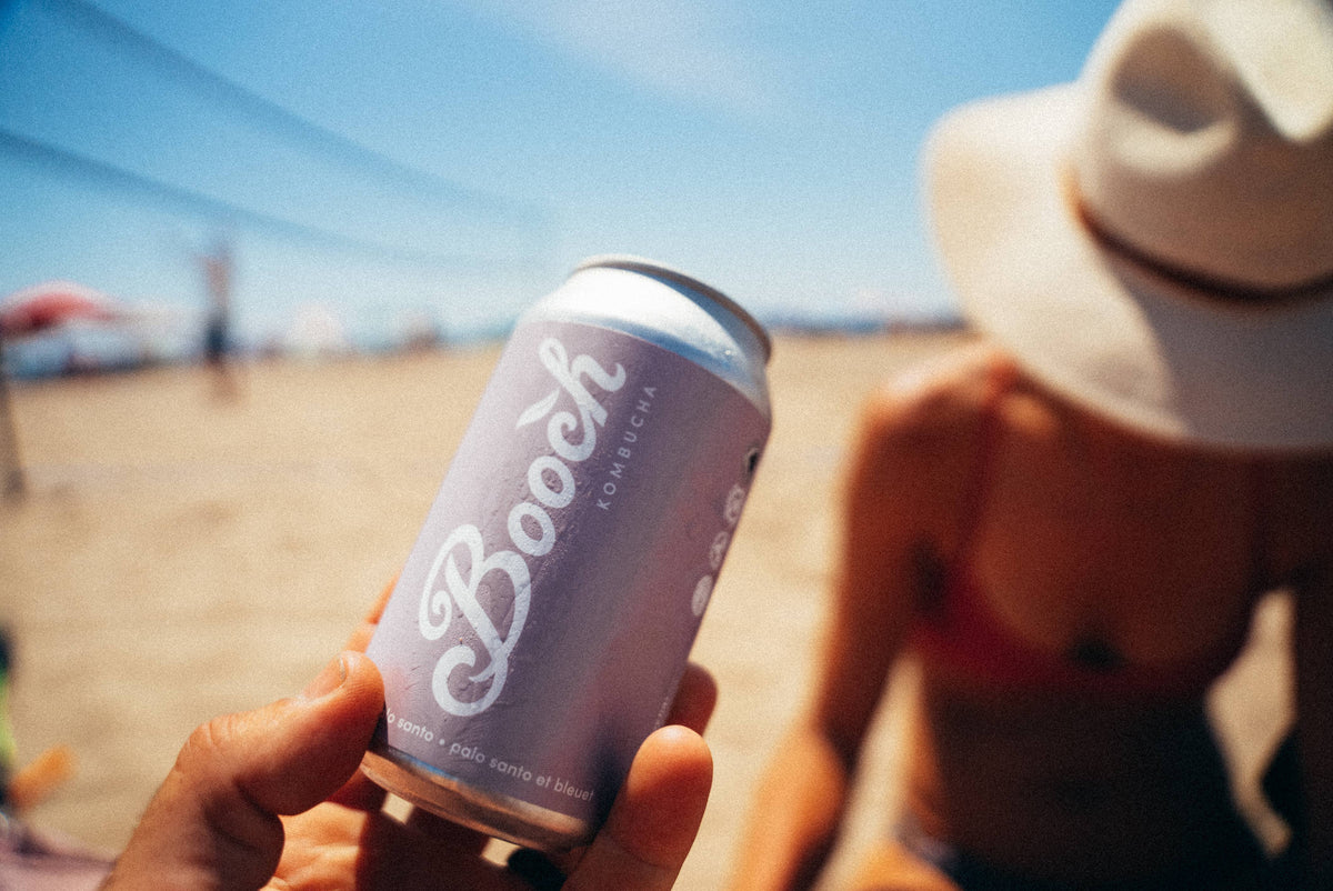 Booch Organic Kombucha + Moonbrew by Booch - Cans - Blueberry Palo Santo Kombucha