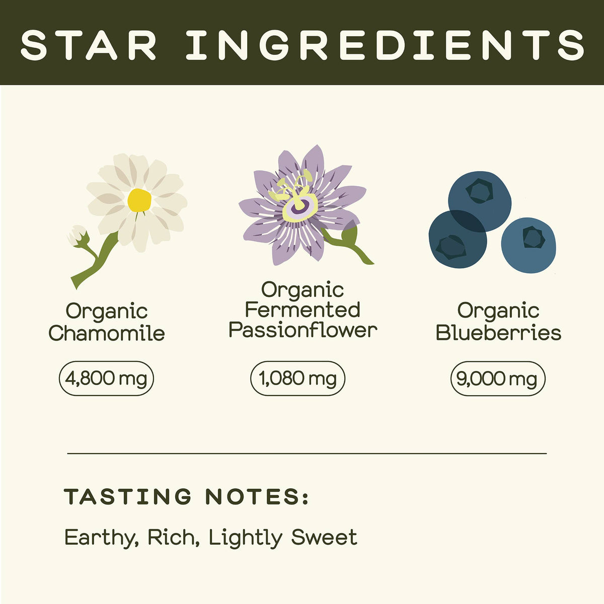 Greenhouse - Greenhouse Lullaby Wellness Shot for Bedtime: Twelve Pack