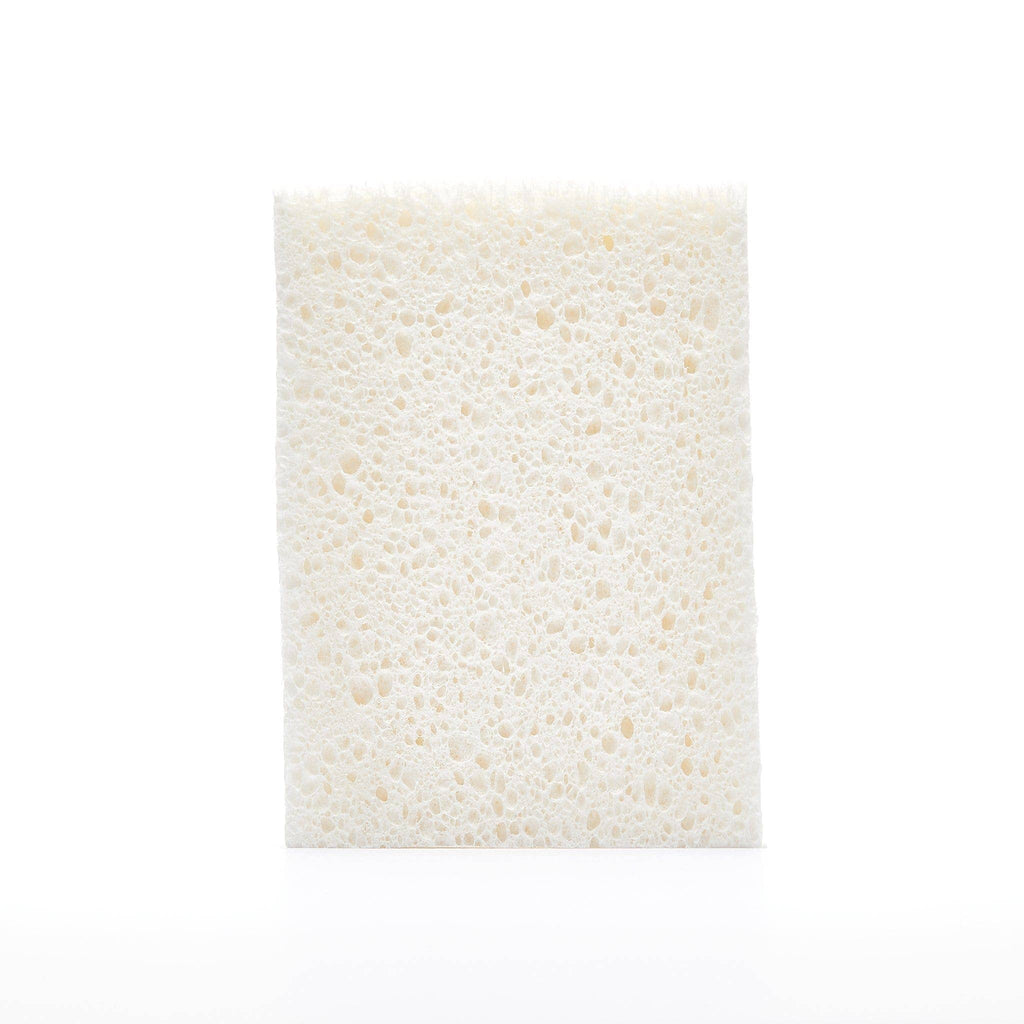 The Unscented Company - TUC x KLIIN | Spongy - Compostable Sponges
