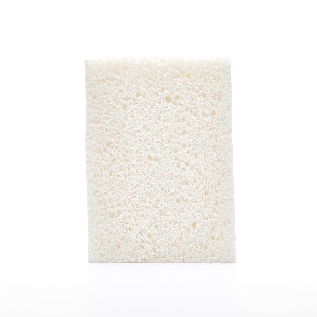 The Unscented Company - TUC x KLIIN | Spongy - Compostable Sponges