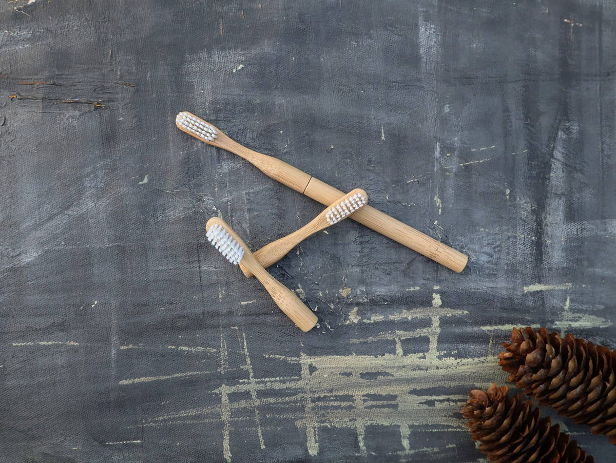 Plantish - Refillable Bamboo Toothbrush (Canada only): 1 Brush