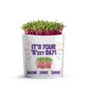giftagreen - It's Your B'eet Day Greeting Card Pouch